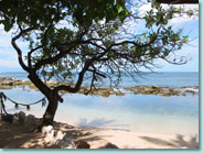 healing pond where we swim in our Hawaiian retreats