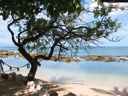 Scene from recent healing retreat -